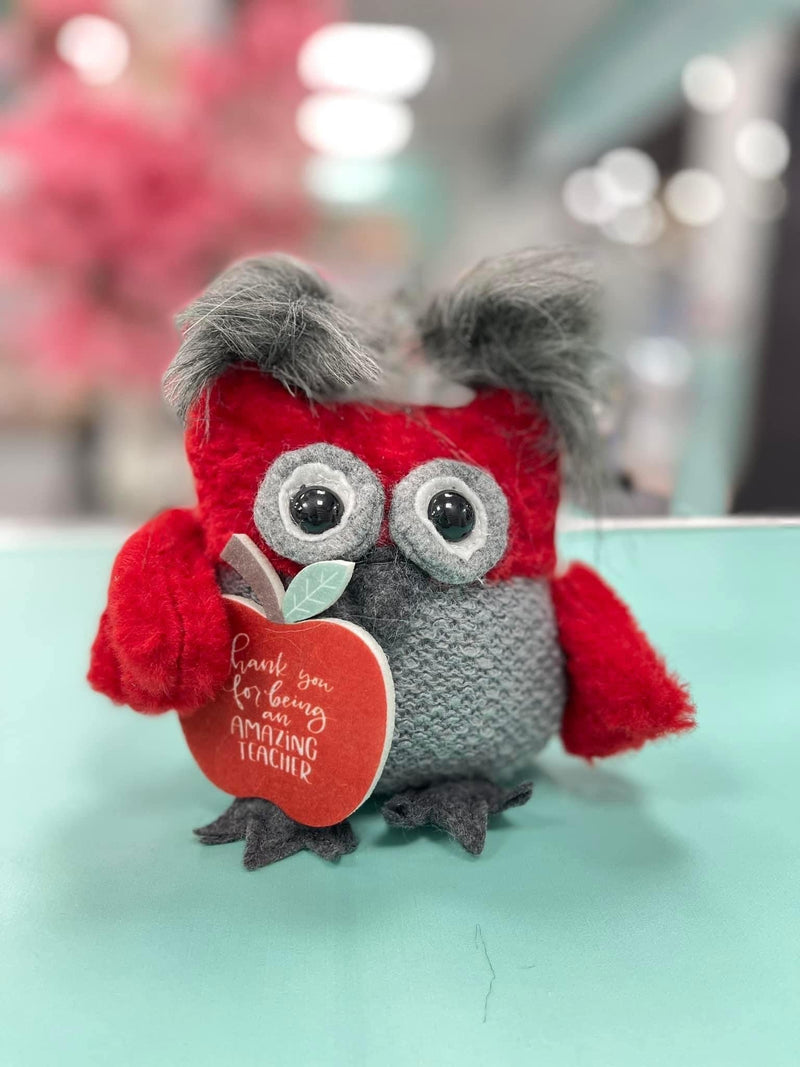 Ree colour Teacher's Thank You Gift Owl